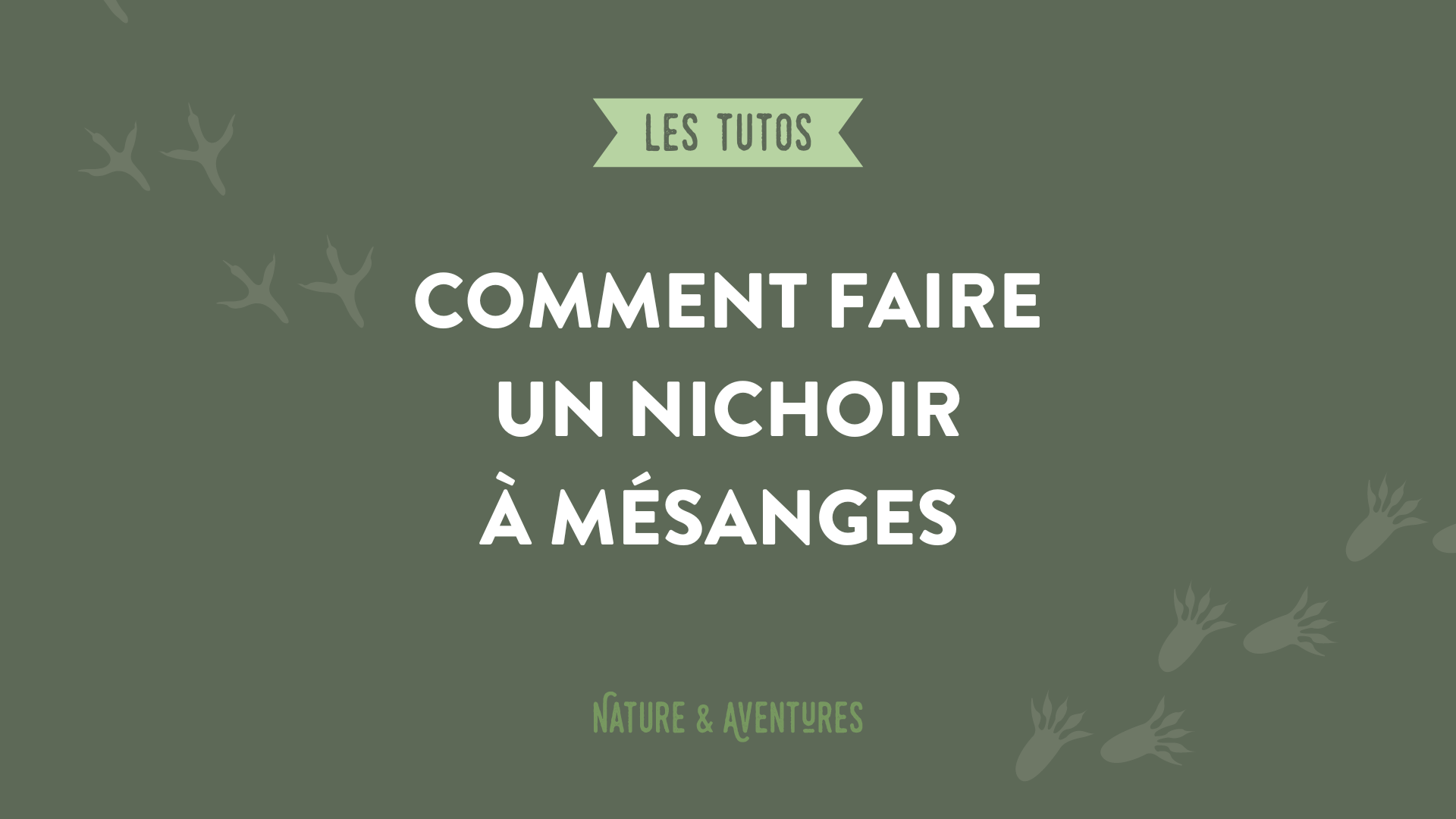Faire un nichoir à mésanges - Nature & Aventures